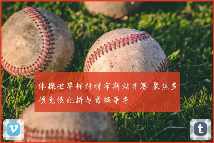 体操世界杯科特布斯站开赛 聚焦多项竞技比拼与晋级争夺