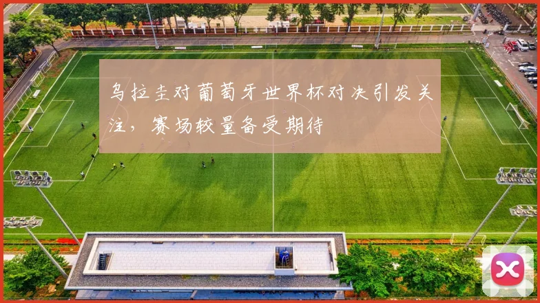 乌拉圭对葡萄牙世界杯对决引发关注，赛场较量备受期待