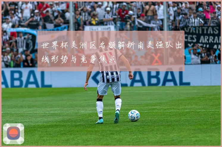 世界杯美洲区名额解析南美强队出线形势与竞争焦点