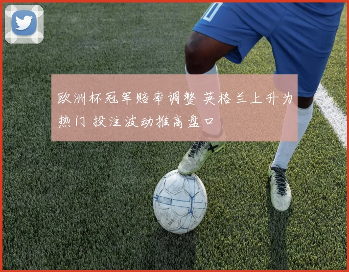 欧洲杯冠军赔率调整 英格兰上升为热门 投注波动推高盘口