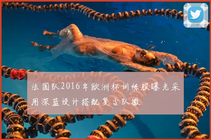 法国队2016年欧洲杯训练服曝光采用深蓝设计搭配复古队徽