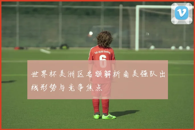 世界杯美洲区名额解析南美强队出线形势与竞争焦点