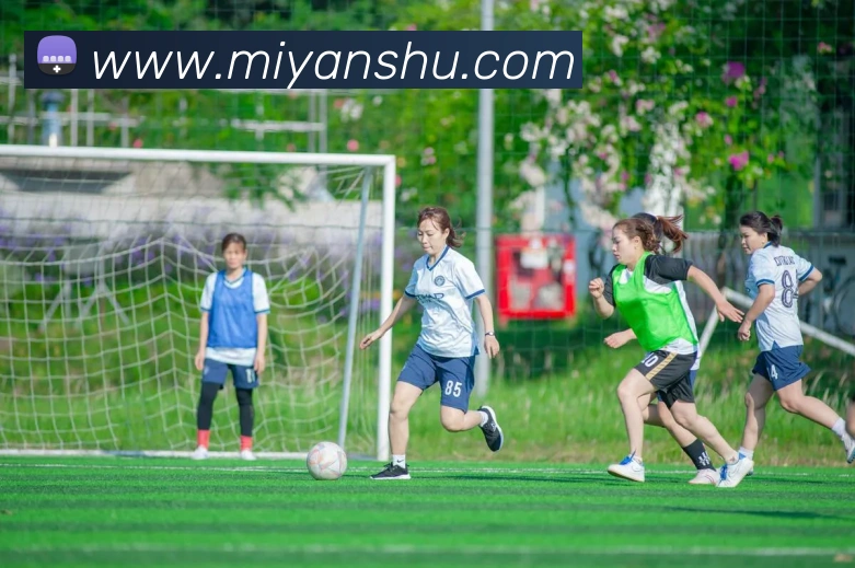 开云手机在线登录官网服务体系